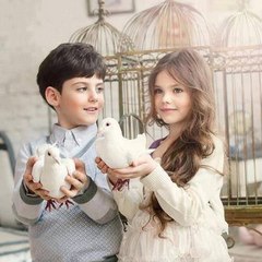 Fayez al saraj