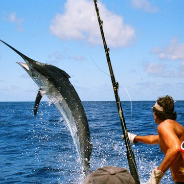Fishing