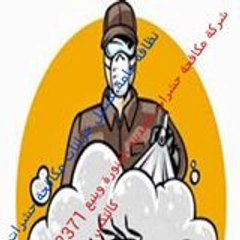 رش حشرات المدينة المنورة