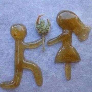 Cannabis France 2026