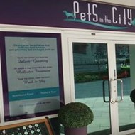 Petsinthecityme