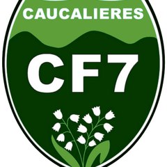 CF7-TV