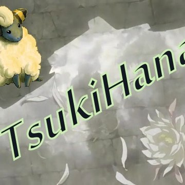 TV TsukiHana