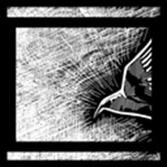 Rooks and Kings