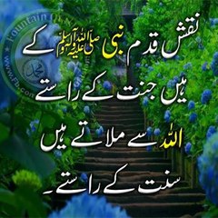 Muneeb Ikhlaque Soleja