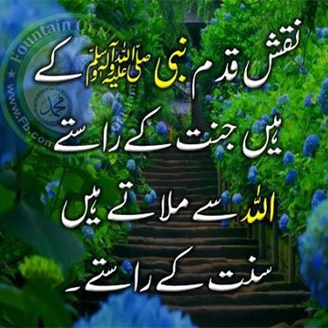 Muneeb Ikhlaque Soleja