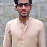 Owais Ali