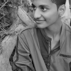 Hamza Ali