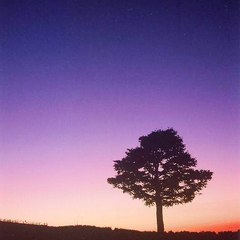 Nakamura Hiroshi