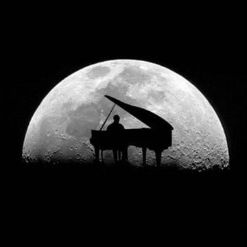 musiqual ♪