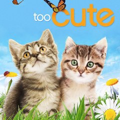 Special Christmas | Too Cute Se5 Ep11