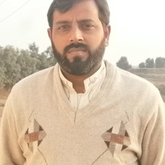 Shfizi11