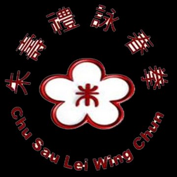 wing chun singapore
