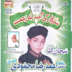 Hafiz Muhammad Ahmed Raza Mehmoodi