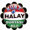 KÜRT HALAY DÜNYASI