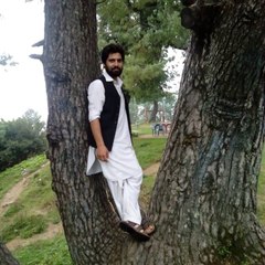 Zahidbaz