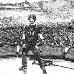 Enrico Picciotto Neto
