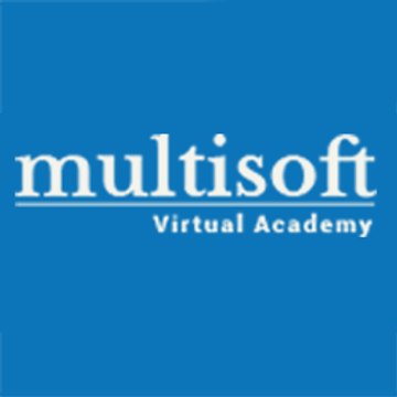 Multisoft Virtual Academy