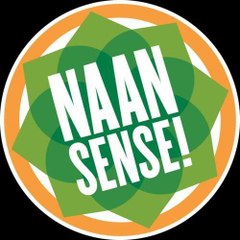 NaanSense Studios