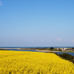 Michetmu