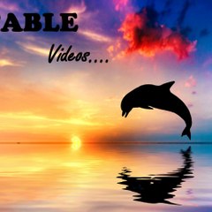 STABLE Videos