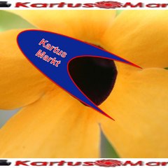 Kartusmarkt1