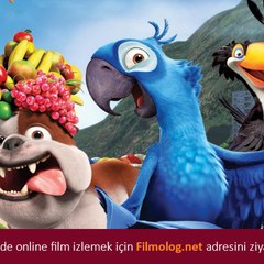 Filmler Burada