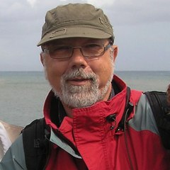 Joan Pastor