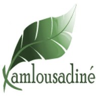 Xamlousadine