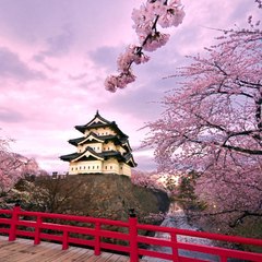 UsefulThingsOnline