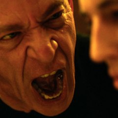 Yify Torrents