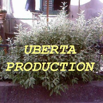 UBERTA PRODUCTION