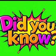 Did You Know Insights