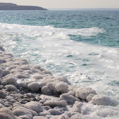 Nerissa Vagt