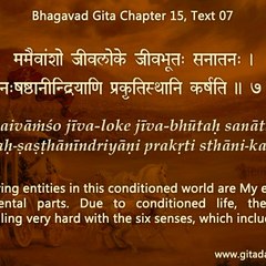 Gita Daily