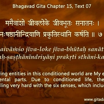 Gita Daily