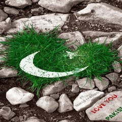 Syed Hammad Raza Naqvi