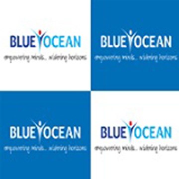 Blueocean Academy