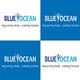 Blueocean Academy