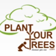 Plantyourtrees