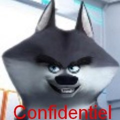 Confidentiel