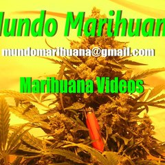 Mundomarihuana