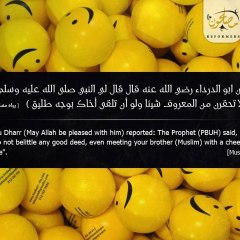 Samehshaheen3