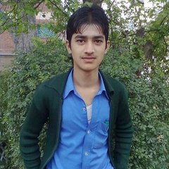 Hasnain Abbas Taunsa