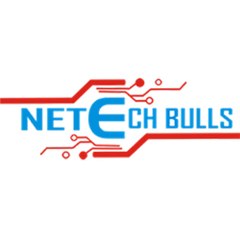 Netech Bulls