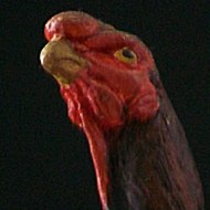 Poultrykid Connection