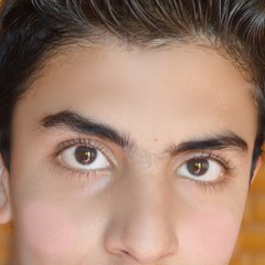 Kammy Safi