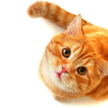 FUNNY VIDEOS EVERYDAY