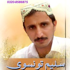 Saleem Taunsvi