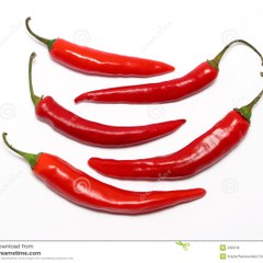 spicyvidsonly